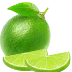 lime movie downloader android application logo